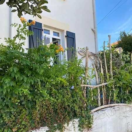 Cocon T2 Beaurivage Avec Exterieur Appartement *