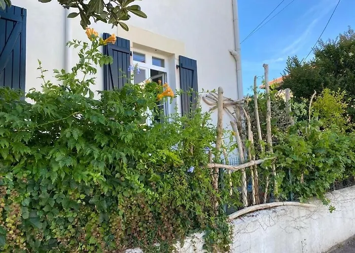 Cocon T2 Beaurivage Avec Exterieur Appartement *